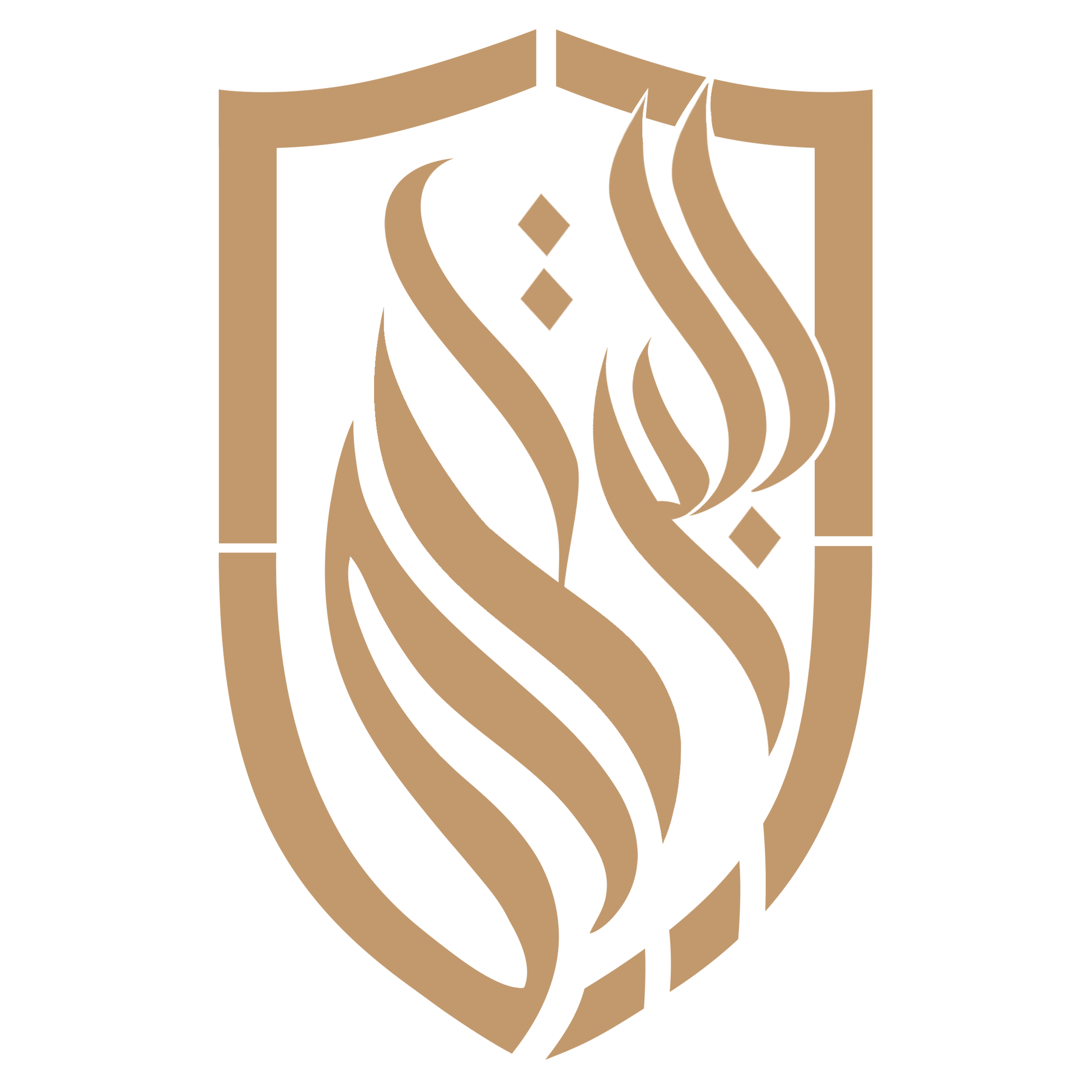 شركة البريدي